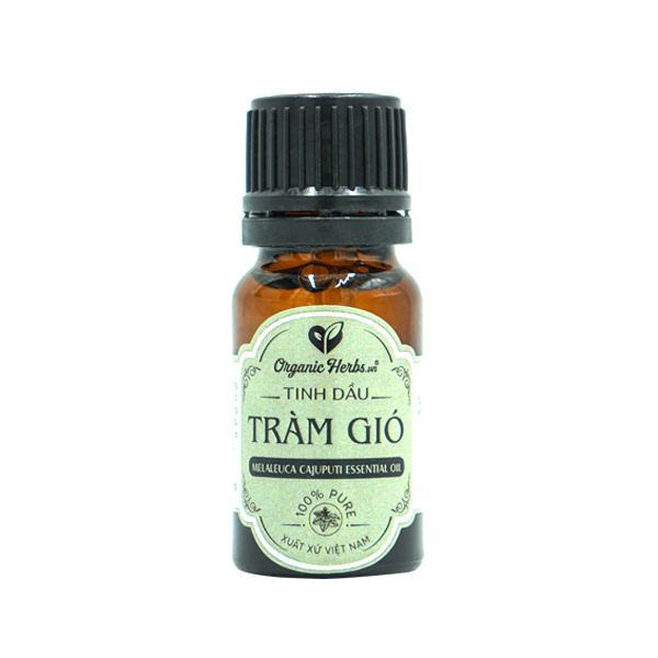 Tinh Dầu Tràm Gió (Cajeiput essential oil): Việt Nam